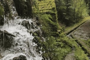 Au départ de Porto : visite d'une jounée nature et dégustation de vins