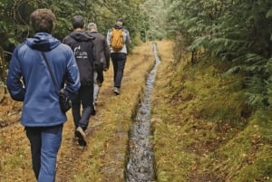 Au départ de Porto : visite d'une jounée nature et dégustation de vins