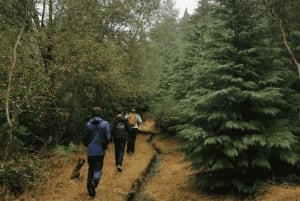 Au départ de Porto : visite d'une jounée nature et dégustation de vins