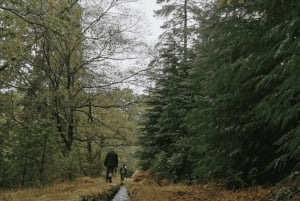 Au départ de Porto : visite d'une jounée nature et dégustation de vins