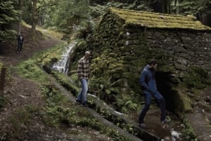 Au départ de Porto : visite d'une jounée nature et dégustation de vins