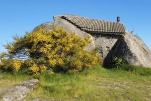 Au départ de Porto : visite d'une jounée nature et dégustation de vins