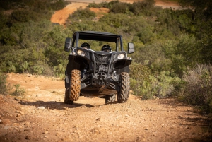 Fra Porto: Off-road buggy-eventyr