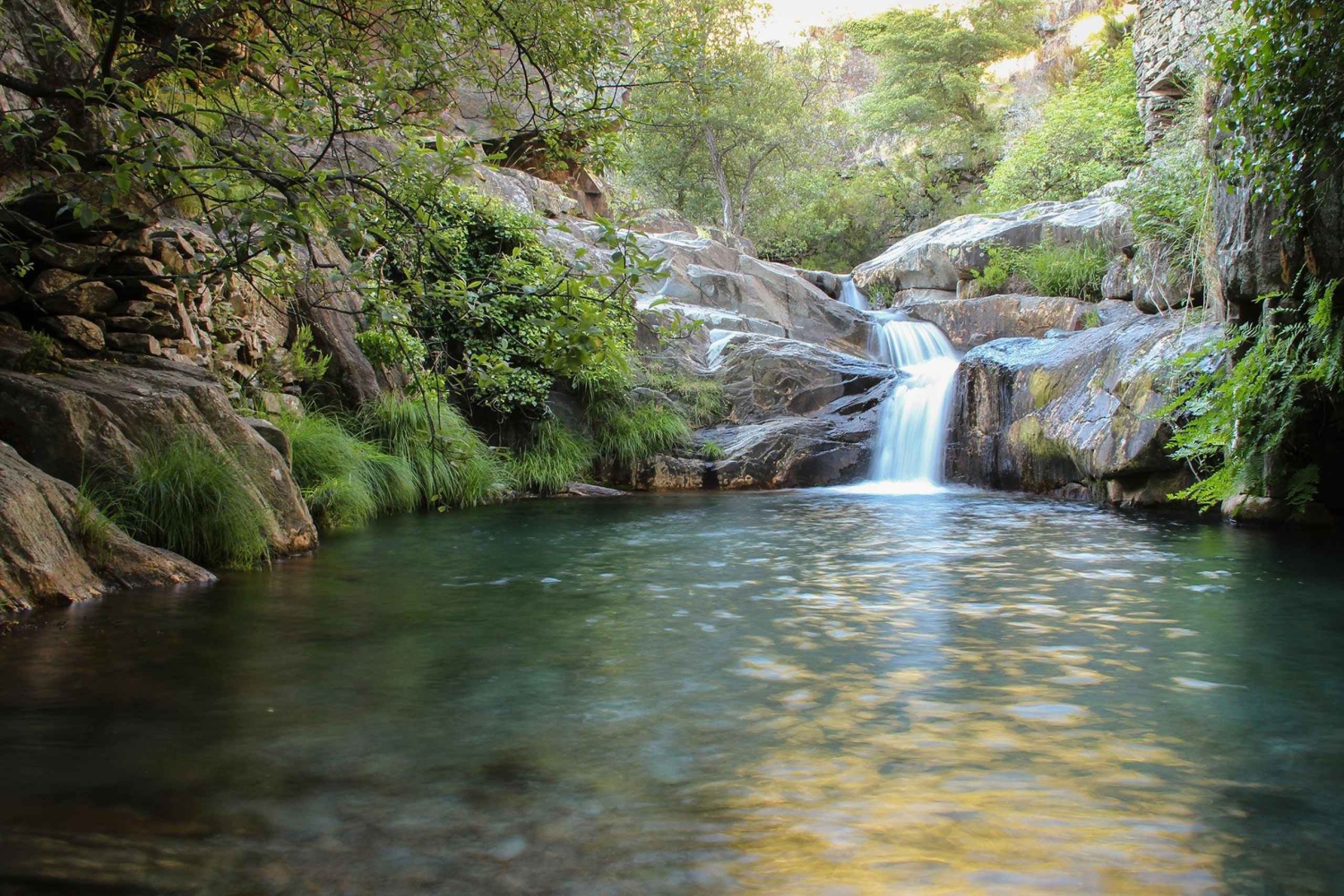 Depuis Porto ou Aveiro : 516 Visite du pont suspendu d'Arouca