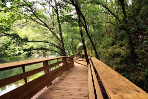 Depuis Porto ou Aveiro : 516 Visite du pont suspendu d'Arouca