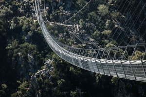Depuis Porto ou Aveiro : 516 Visite du pont suspendu d'Arouca