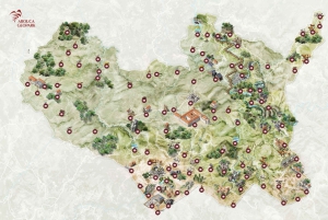 Depuis Porto ou Aveiro : 516 Visite du pont suspendu d'Arouca