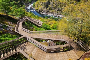 Depuis Porto ou Aveiro : 516 Visite du pont suspendu d'Arouca