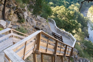 Depuis Porto ou Aveiro : 516 Visite du pont suspendu d'Arouca