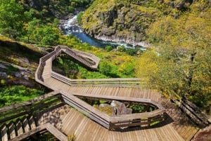 Depuis Porto ou Aveiro : 516 Visite du pont suspendu d'Arouca
