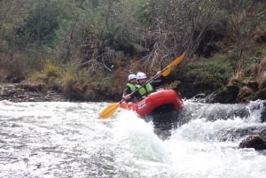 Desde Oporto: Excursión de Aventura en Canoa por el Río Paiva