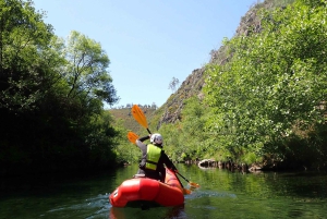 Depuis Porto : Aventure en canoë-kayak sur la rivière Paiva