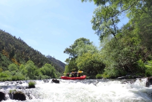 Depuis Porto : Aventure en canoë-kayak sur la rivière Paiva