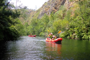 Depuis Porto : Aventure en canoë-kayak sur la rivière Paiva