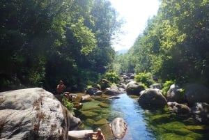 Parco di Peneda-Gerês: tour con pranzo incluso da Porto