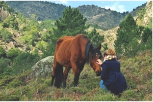 Parco di Peneda-Gerês: tour con pranzo incluso da Porto