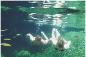 Parco di Peneda-Gerês: tour con pranzo incluso da Porto