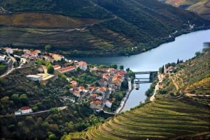 Från Porto: Pinhão och Douro Valley Scenic Boat Tour