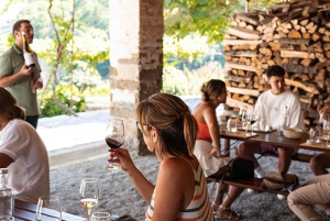 Depuis Porto : Visite en petit groupe de la vallée du Douro