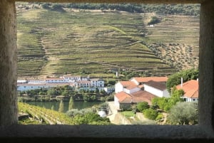 Depuis Porto : Visite en petit groupe de la vallée du Douro