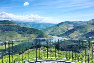Depuis Porto : Visite en petit groupe de la vallée du Douro