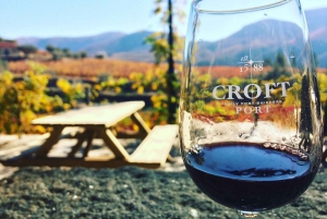 Depuis Porto : Visite en petit groupe de la vallée du Douro