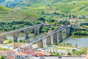 Depuis Porto : Visite en petit groupe de la vallée du Douro