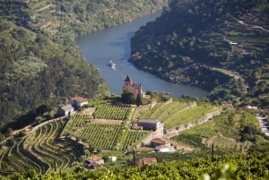Depuis Porto : Visite en petit groupe de la vallée du Douro