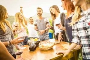 Depuis Porto : Visite en petit groupe de la vallée du Douro