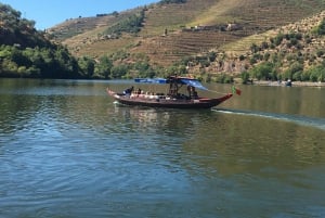 Depuis Porto : Visite en petit groupe de la vallée du Douro