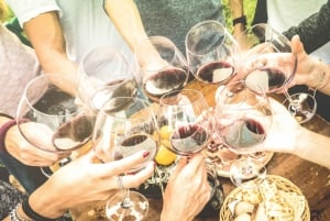 Depuis Porto : Visite en petit groupe de la vallée du Douro