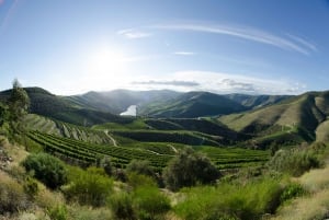 Depuis Porto : Visite en petit groupe de la vallée du Douro