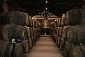 Depuis Porto : Visite en petit groupe de la vallée du Douro