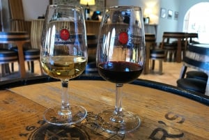 Depuis Porto : Visite en petit groupe de la vallée du Douro