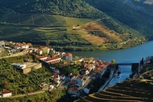 Depuis Porto : Visite en petit groupe de la vallée du Douro