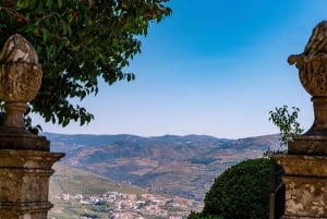 Depuis Porto : Visite en petit groupe de la vallée du Douro