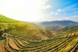 From Porto: Premium Douro Valley Small-Group Wine Tour