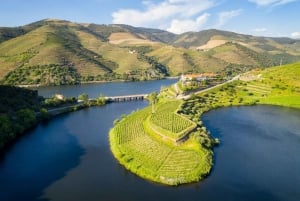 Fra Porto: Privat omvisning i Douro-dalen med bookingtjeneste
