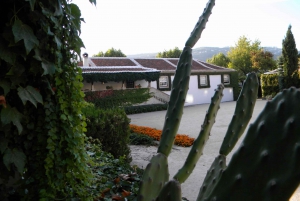 Fra Porto: Privat omvisning i Douro-dalen med bookingtjeneste