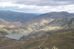 Fra Porto: Privat omvisning i Douro-dalen med bookingtjeneste