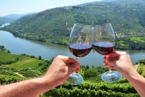 Fra Porto: Privat omvisning i Douro-dalen med bookingtjeneste