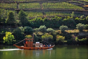 Fra Porto: Privat omvisning i Douro-dalen med bookingtjeneste