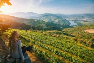 Fra Porto: Privat omvisning i Douro-dalen med bookingtjeneste