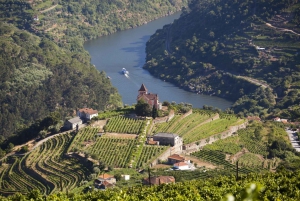 Fra Porto: Privat omvisning i Douro-dalen med bookingtjeneste