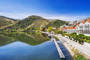 Fra Porto: Privat omvisning i Douro-dalen med bookingtjeneste