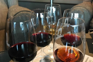 Fra Porto: Privat tur i Douro-dalen med krydstogt og vin