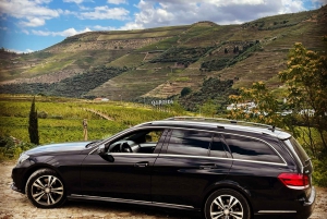 Fra Porto: Privat tur i Douro-dalen med krydstogt og vin