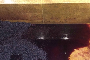 Desde Oporto: Tour Privado del Valle del Duero con Crucero y Vino