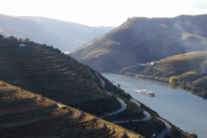 Desde Oporto: Tour Privado del Valle del Duero con Crucero y Vino