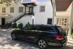 Desde Oporto: Tour Privado del Valle del Duero con Crucero y Vino